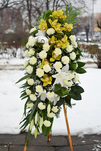 Kwiaciarnia "MILTONIA" Radom